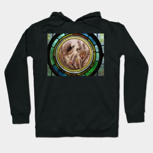 White Faced Honeyeaters Hoodie